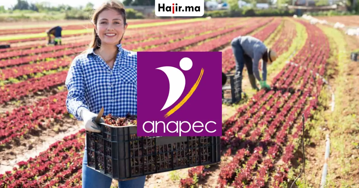 فرصة شغل دولية براتب شهري وحوافز مالية للعاملات الفلاحيات عبر الأنابيك ANAPEC