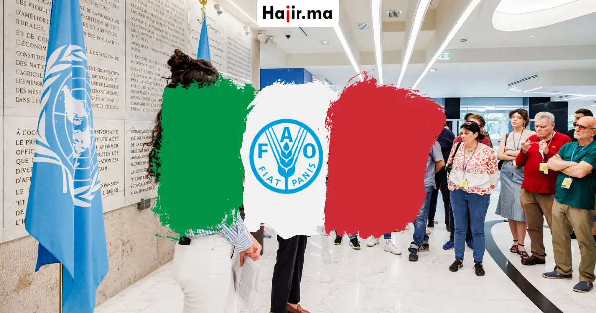 فرصة عقد تدريب ممول في منظمة الفاو بإيطاليا 2026 براتب شهري وإقامة قانونية