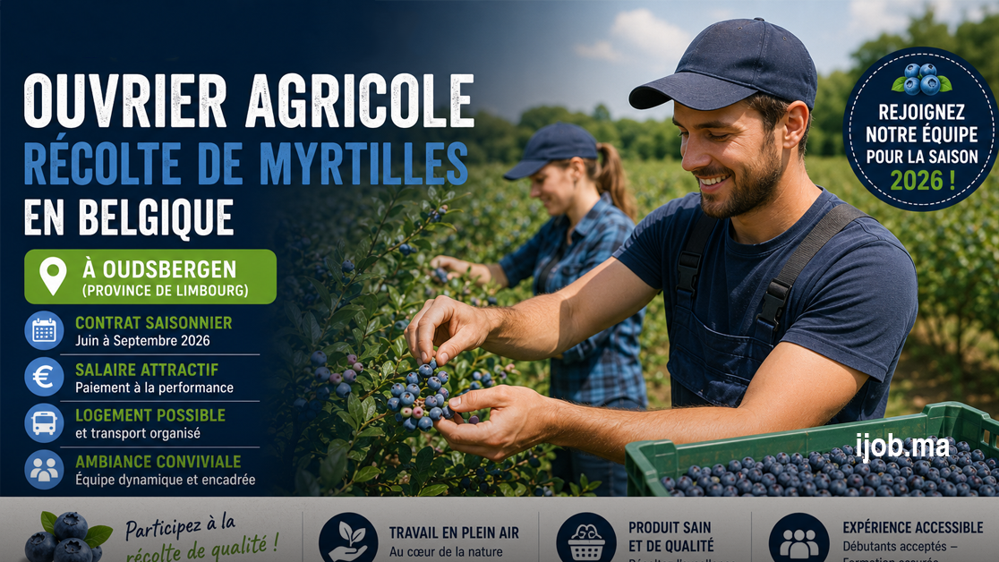 Ouvrier Agricole à Oudsbergen – Récolte de Myrtilles en Belgique 2026
