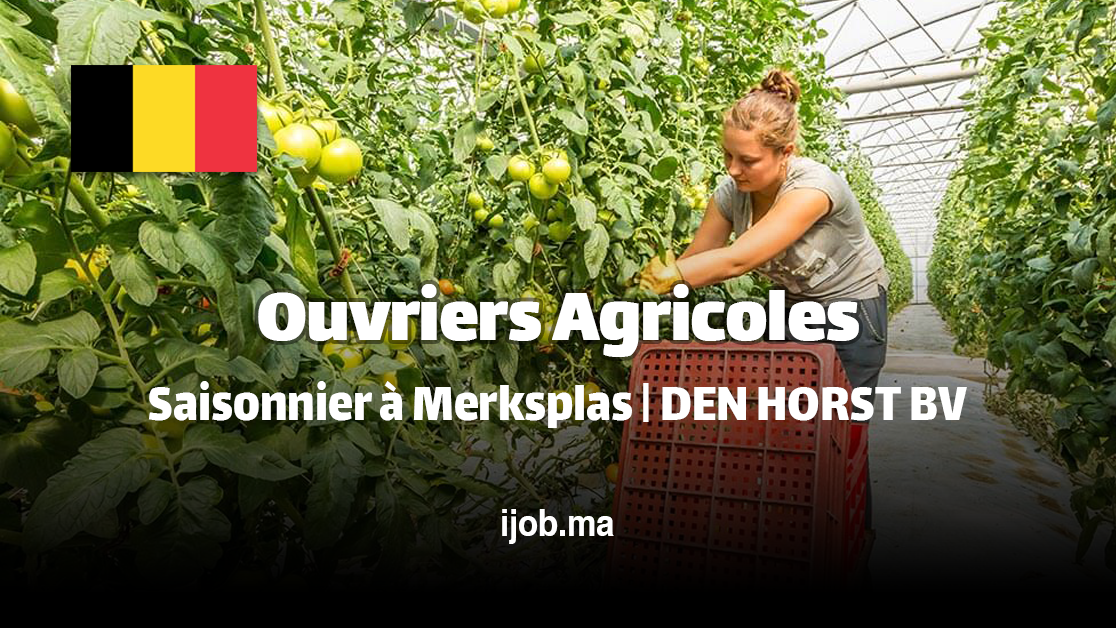 Ouvriers Agricoles - Saisonnier à Merksplas