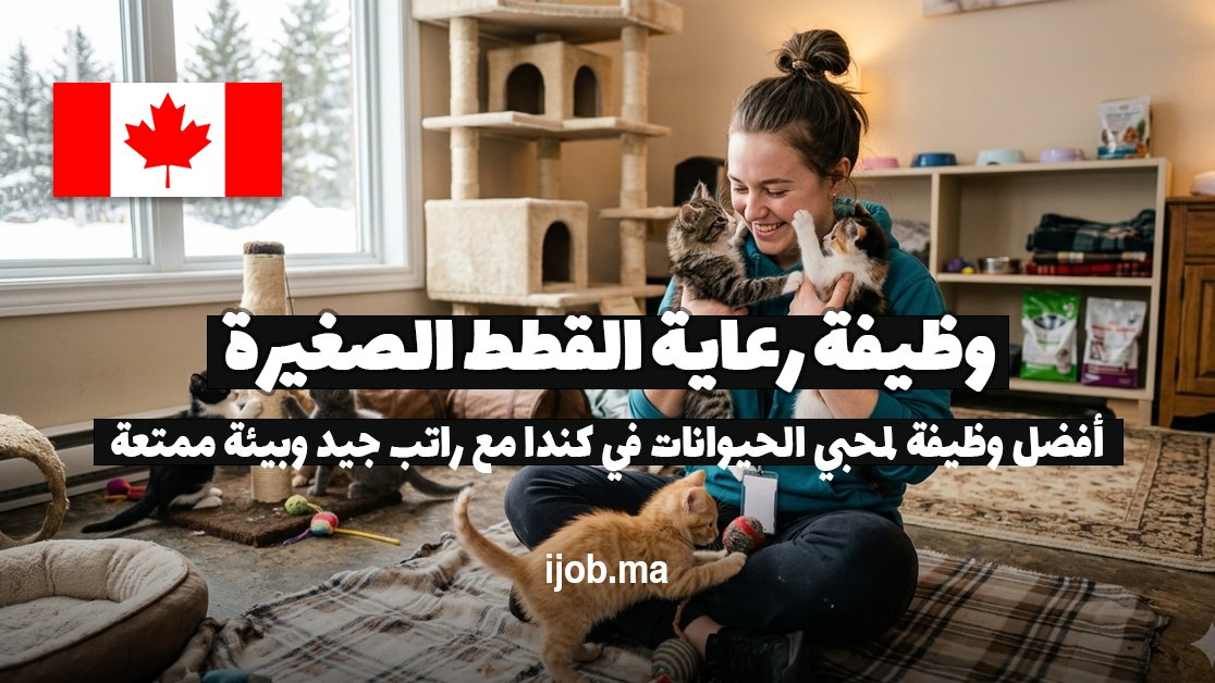 وظيفة في كندا لرعاية القطط الصغيرة