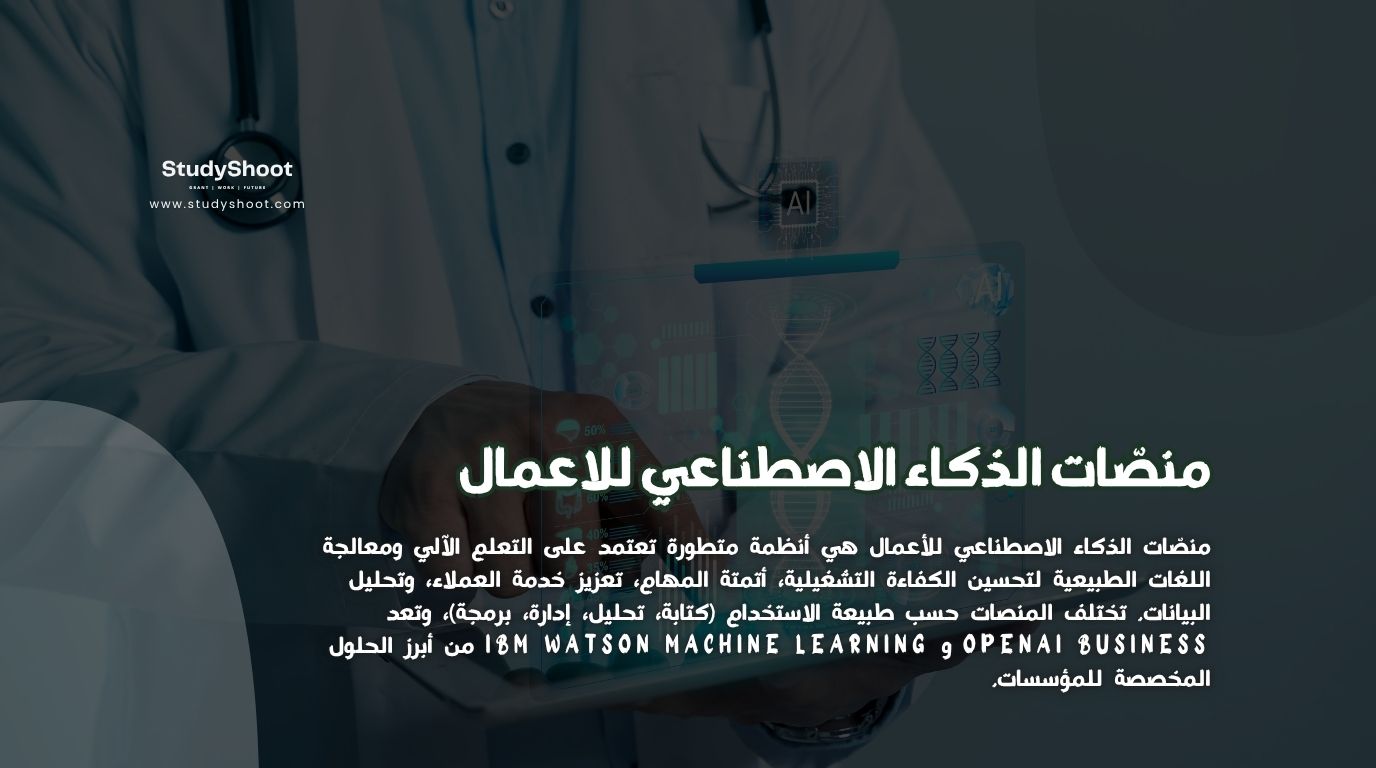 منصّات الذكاء الاصطناعي للاعمال 3 منصّات الذكاء الاصطناعي للاعمال